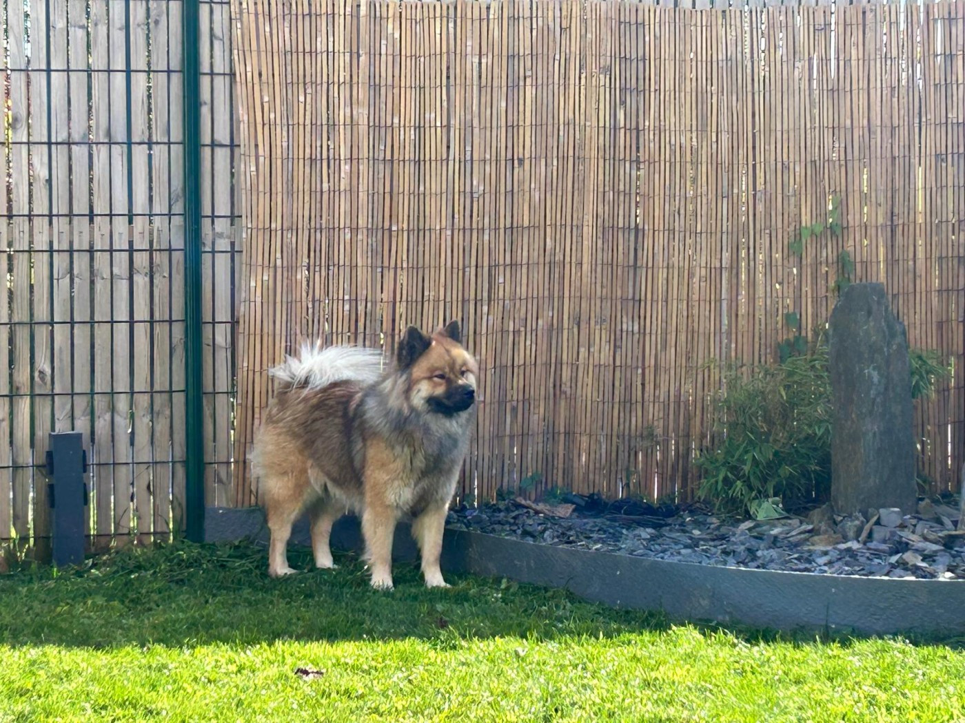 Ushka Idylles De La Déesse Neith