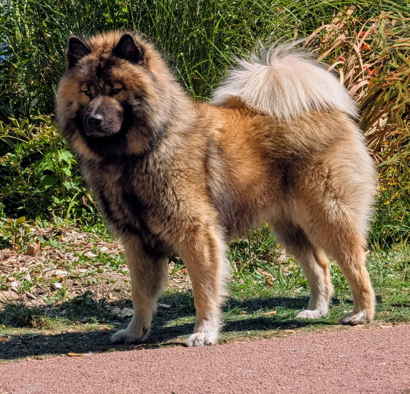 Naissance prévue 2026